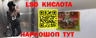 твердый Лесосибирск