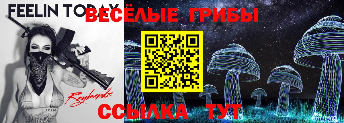 Псилоцибиновые грибы мухоморы Тверь