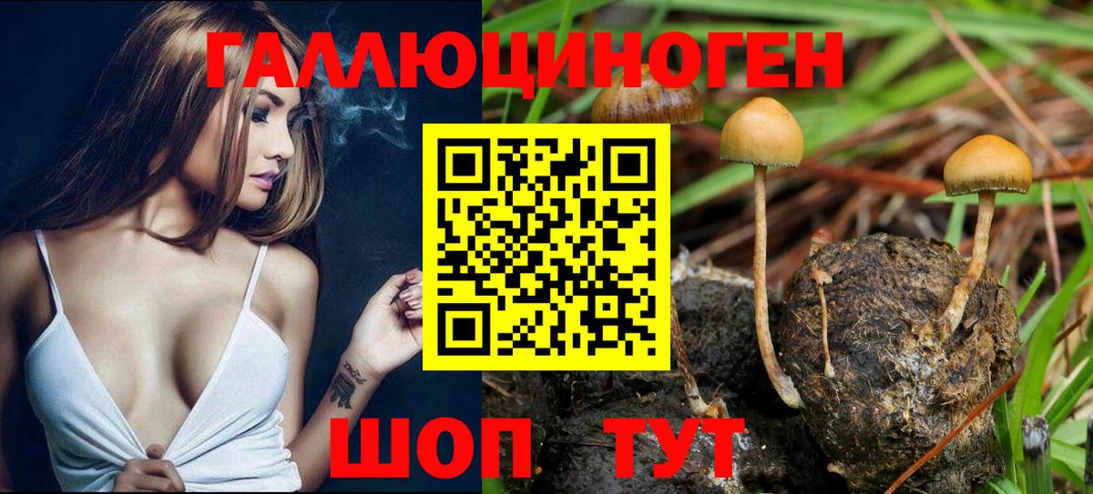 Псилоцибиновые грибы мицелий  Галлюциногенные грибы прущие грибы  Вход с VPN  Тверь 